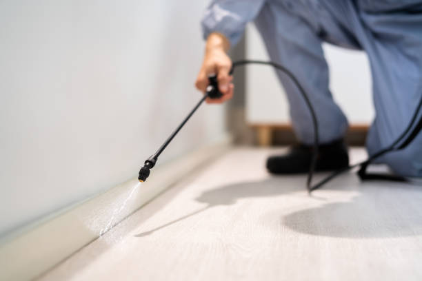 Rodent Entry Point Assessment in Closter