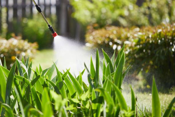 Tamper-Resistant Bait Stations for Rodents in Closter
