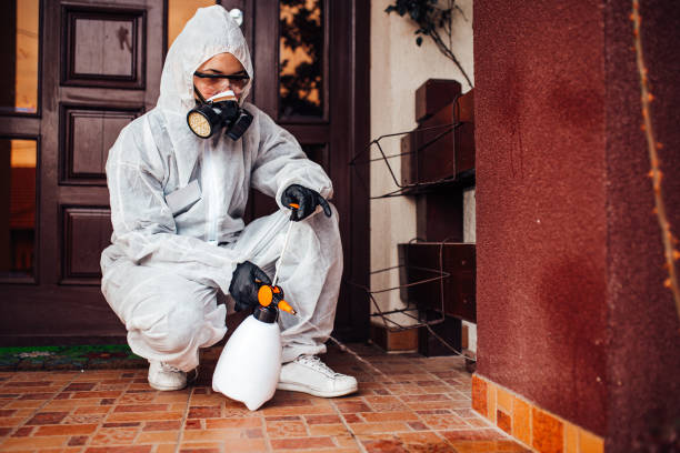 Attic and Crawl Space Rodent Treatment in Closter