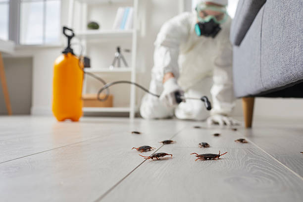 Commercial Rodent Management in Closter